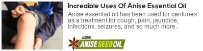  anise seed oil for digestion